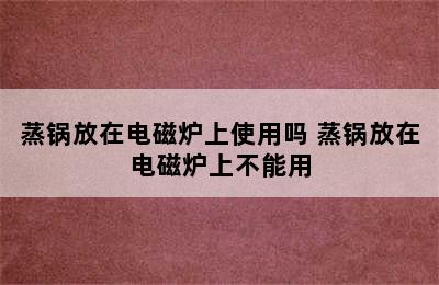 蒸锅放在电磁炉上使用吗 蒸锅放在电磁炉上不能用